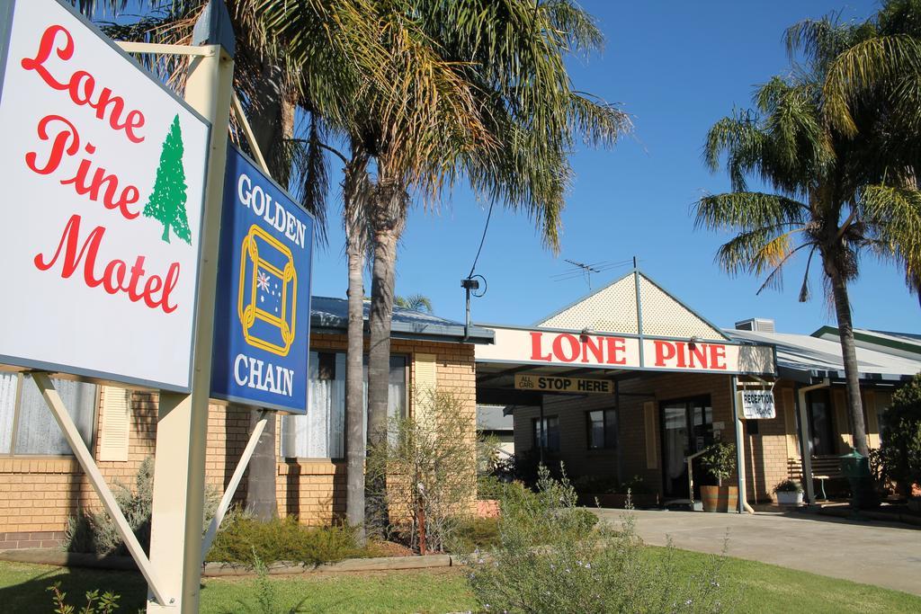 Lone Pine Motel Corowa Eksteriør bilde