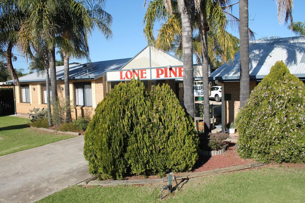 Lone Pine Motel Corowa Eksteriør bilde