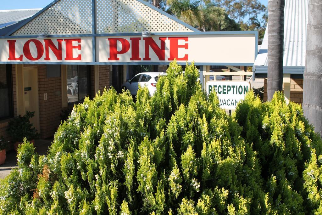 Lone Pine Motel Corowa Eksteriør bilde
